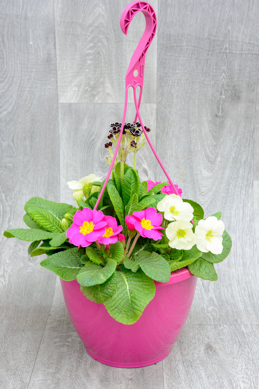 Pink Hanging Pot