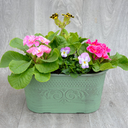 Peppermint Oval Planter