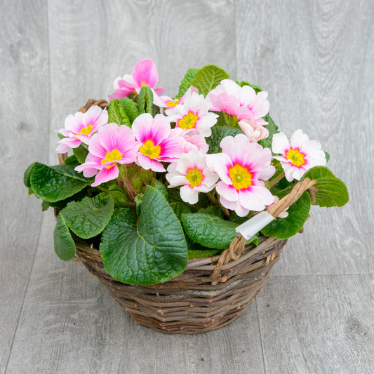 Primrose Rattan Basket
